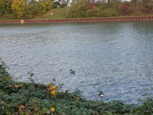 Wesel-Datteln-Kanal